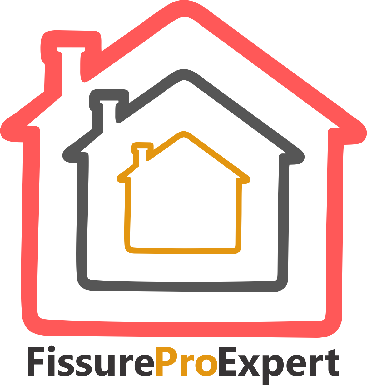 Fissure Pro Expert logo